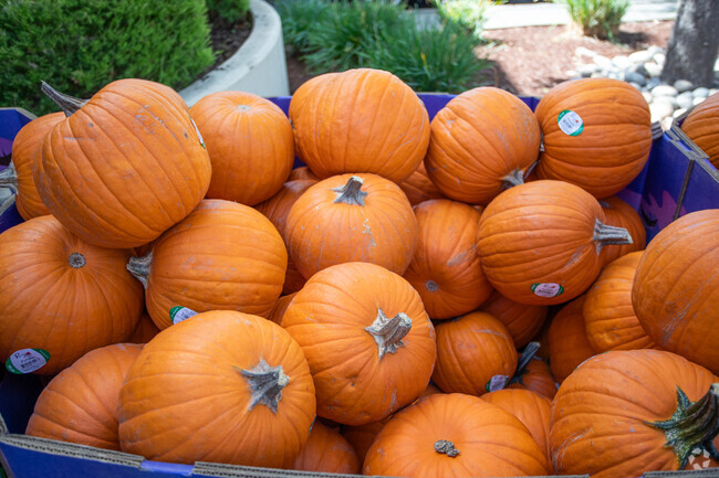Palos Verde residents love their farms in the area for the fresh produce they can buy.