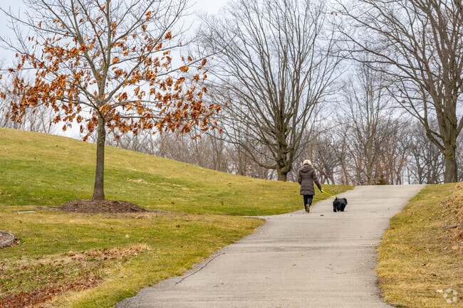 Your dog will appreciate the exercise from a walk in Marshbank Park.