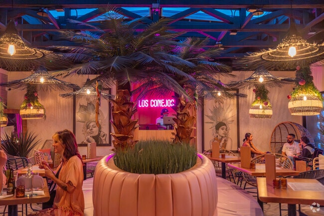 Lush palms and moody lighting shape the vibe at Los Conejos in University Heights.