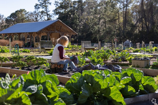 Skidaway Island residents enjoy gardening at the Community Garden.