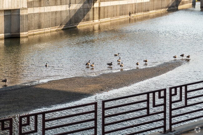 Folwell Drive offers scenic spots along the river, perfect for birdwatching and relaxation.