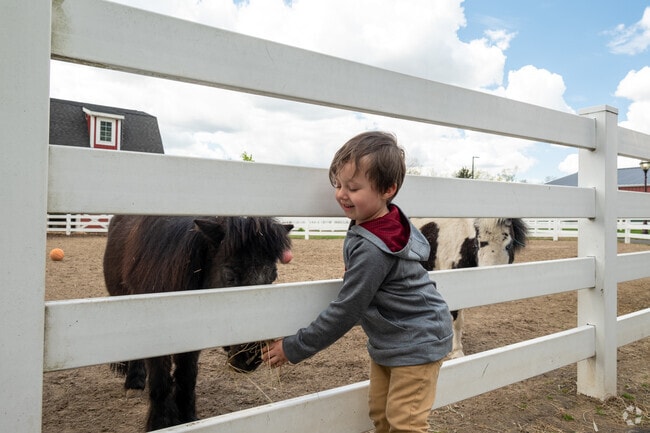 Kids love the Heritage Park Petting Zoo in Taylor.