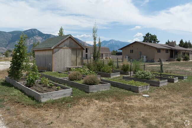 Homes have spacious backyards with room for raised garden beds and greenery.