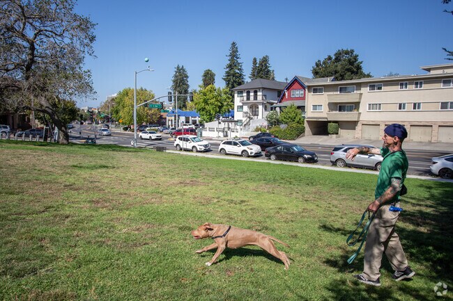 Dog owners from Ivy Hill love Park Plaza for a little off-leash game of fetch.