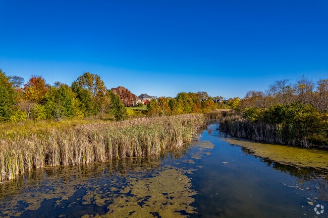 The Gleneagles neighborhood in Lexington is surrounded by beautiful nature.