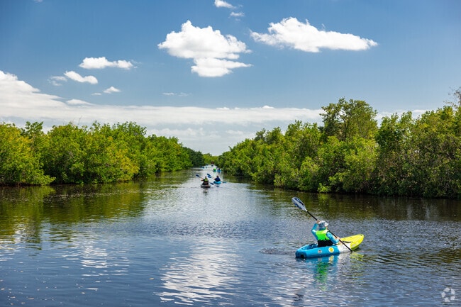 Kayaking through the mangroves is a great experience for nature lovers in South Naples.