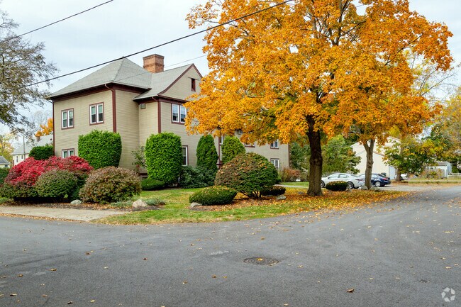 Fall is a beautiful time in Lincoln Park, with yellow and orange leaves swaying overhead.