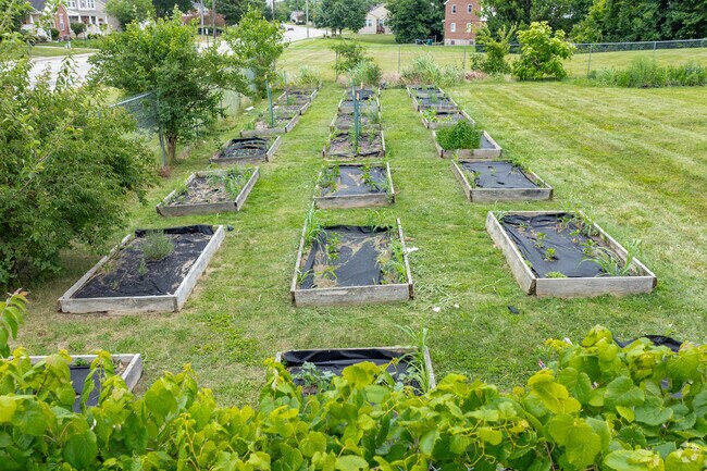 Brick Gardens turns vacant buildings and lots into growable gardens for Bond Hill to utilize.