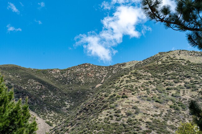 Lytle Creek’s wildfire risk is managed with fire safety measures and community preparedness.