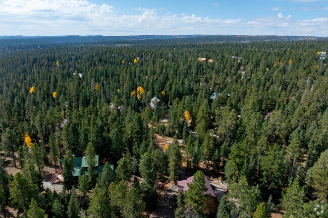 With spacious homes and tranquil surroundings, Duck Creek Village offers the perfect mountainside retreat for those seeking comfort, nature, and a slower pace of life.