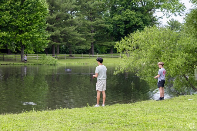 You can find all types of fish at Lower Moreland Park