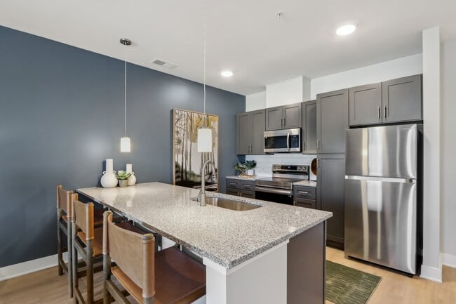 Rise on Meridian, Indianapolis, IN 46225 - photo 3