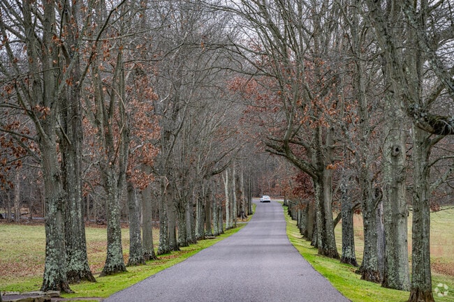 A tree-lined road leads to the Friendship Hill National Historic Site near Nicholson Township.