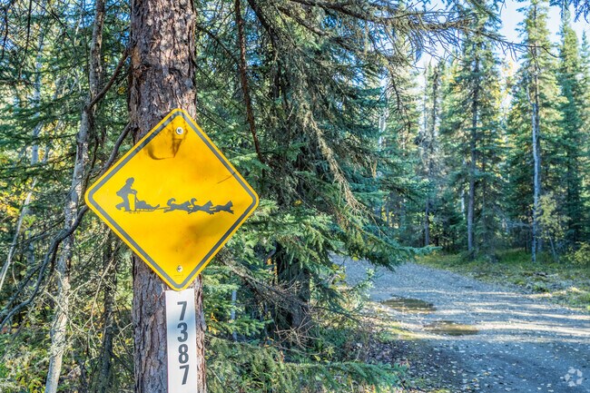 Pleasant Valley has marked trails for dog-sledding during the winder season.