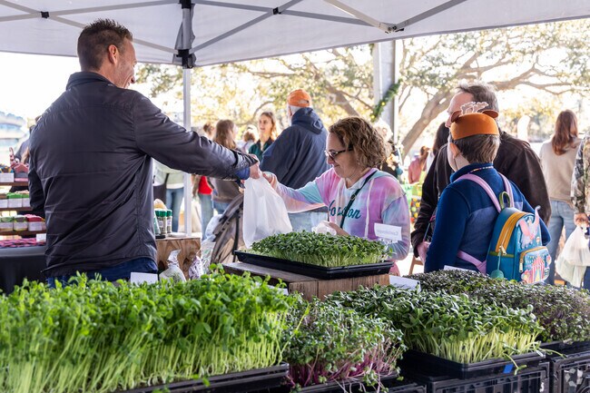 Fresh produce, locally grown, is available for purchase at Old Pearland Farmers Market.