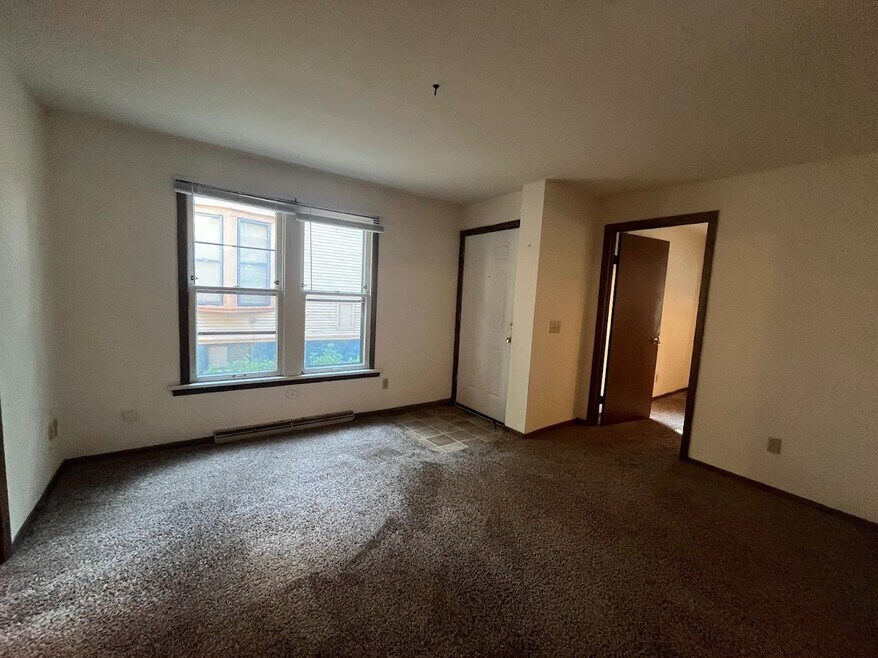 411 W Doty St unit 1, Madison, WI 53703 - photo 1
