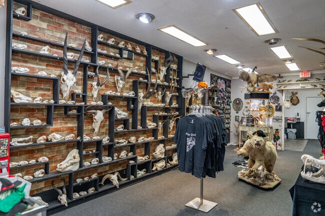 Westwood Gardens is only a few minutes from Downtown Jackson's local shops and restaurants.