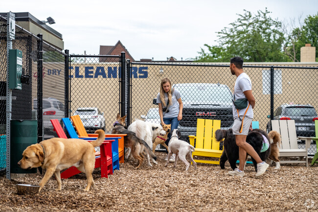Barkside features a dog park & bar where dogs & dog lovers can safely unleash & socialize.