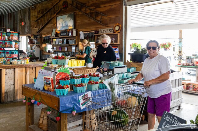 TS Smith Orchard Point Market has fresh produce for the residents of Bridgeville.
