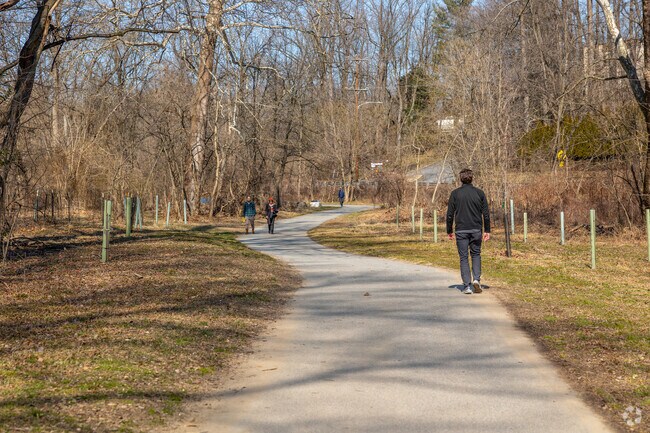 Stretch your legs in Drexel Hill on the Darby Creek Trail.