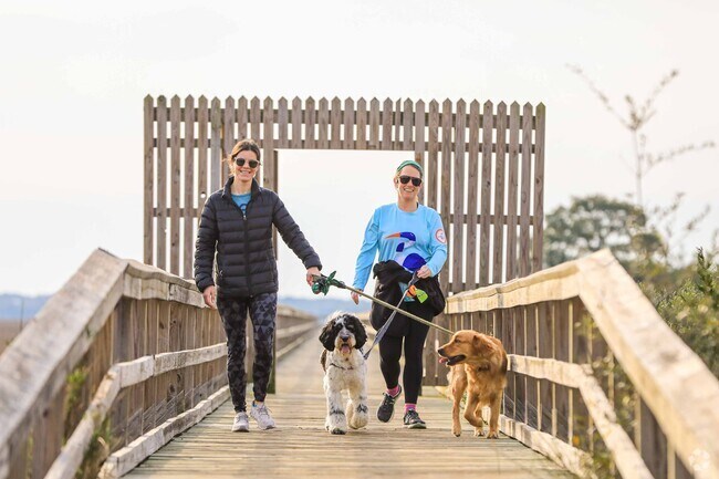 The community dock at Oyster Point in Mount Pleasant is a great place to walk the dog.