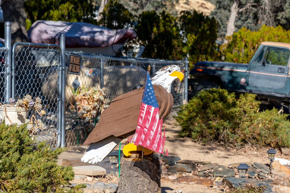 NH_Bodfish_543319_022324_P1_LB_V1