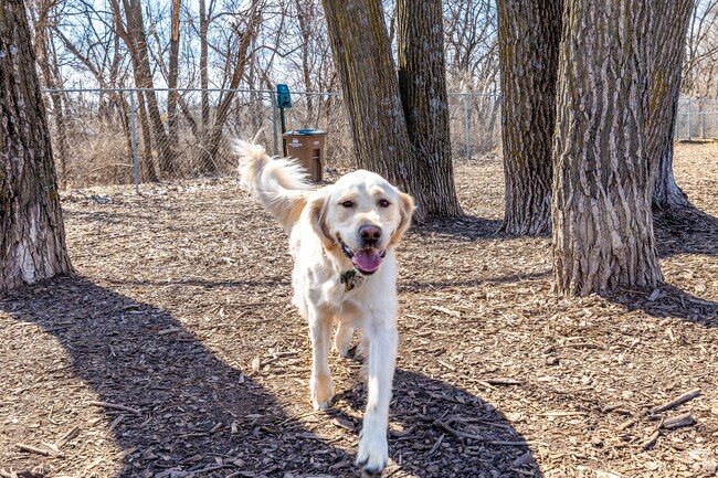 Dogs and dog people enjoy the wide-open space of Windsor Heights Dog Park