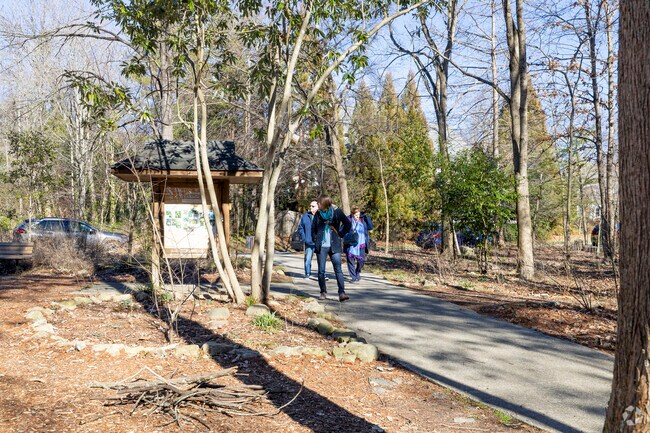 Walking the beautiful trails at Tanger Bicentennial Gardens in Hamilton Forest.