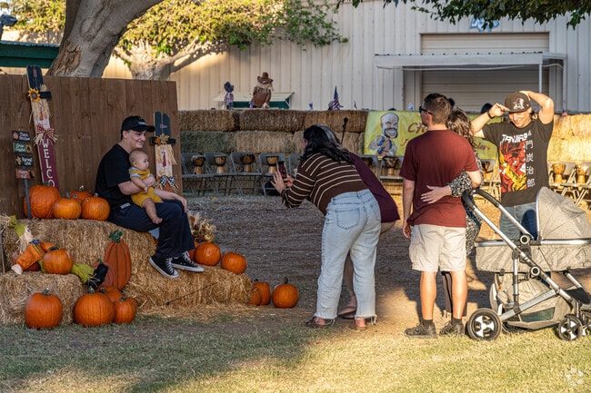 San Luis locals enjoy the pumpkin patch and take family photos.