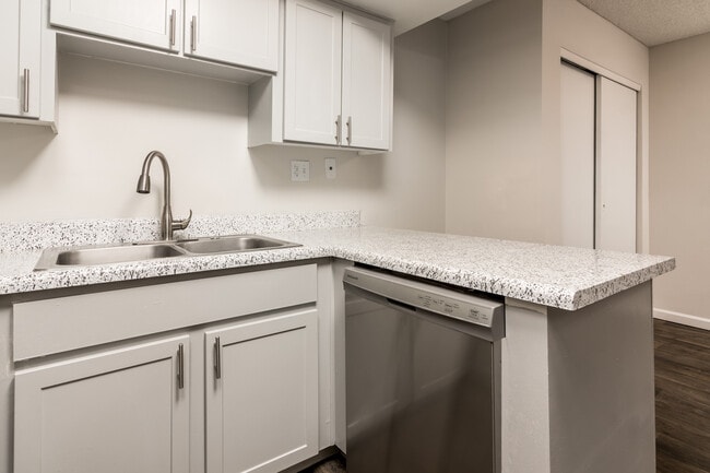 Flex Nozzle and Dishwasher