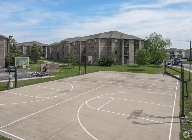 Basketball Court