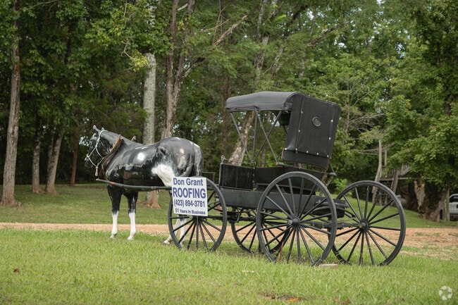 A proud horse community exists in Graysville, though few horses are seen pulling buggies.