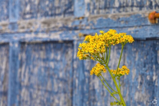 Stop and smell the wildflowers in Oakville, IN.