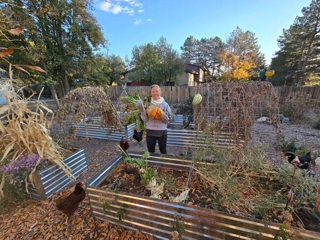 Amber Wermerskirchen