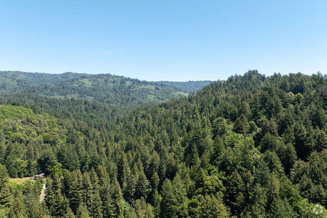 Towering redwoods blanket the foothills of Corralitos, offering peaceful forest views.