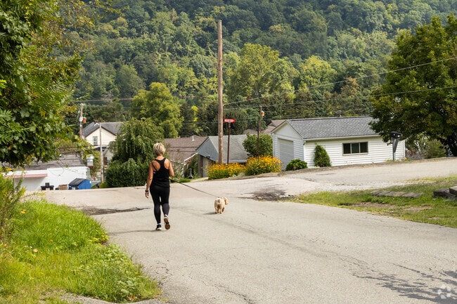 Dog owners stroll through New Eagle’s hills, enjoying nature and fresh air.