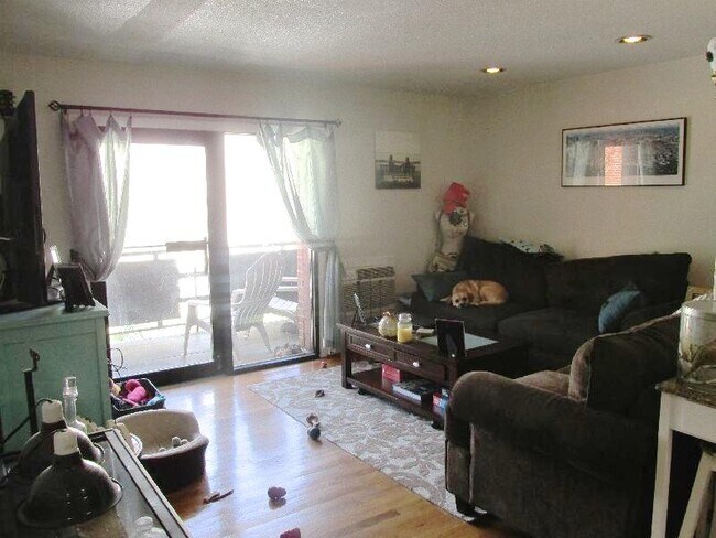 15 Euston Rd unit 20, Brighton, MA 02135 - photo 6