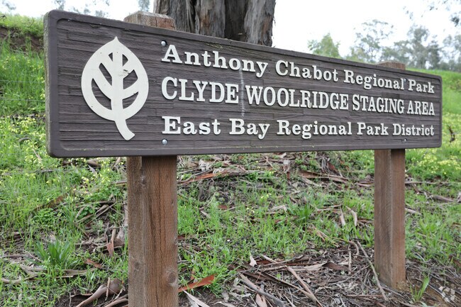 Anthony Chabot Regional Park in Sequoyah is a great spot for hiking.