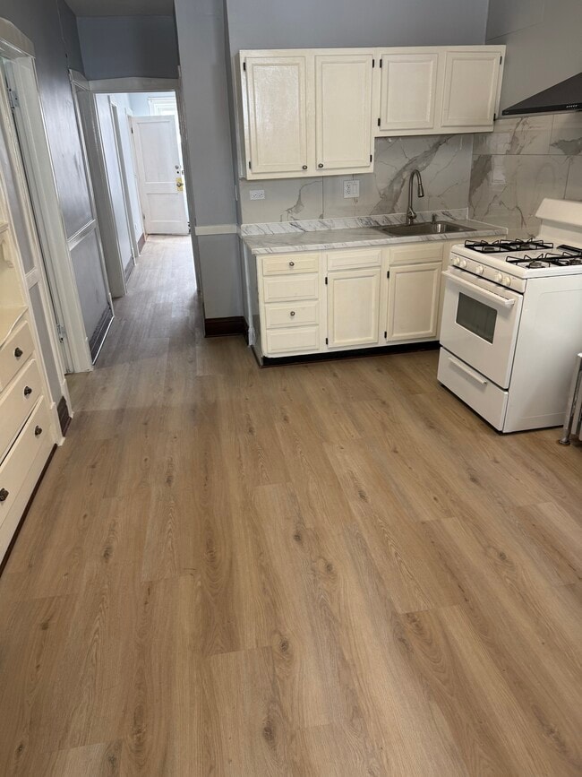 3344 S Wood St unit Apartment 1, Chicago, IL 60608 - photo 3