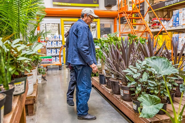 Patrons are deciding on the best plant at Fulton-El Camino’s Home Depot.