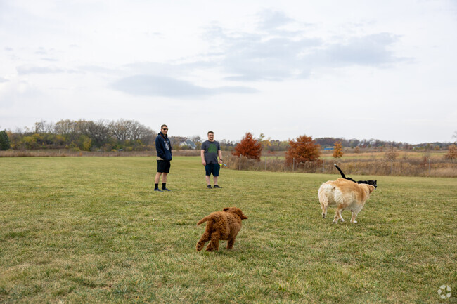 Waukegan Savanna Off-Leash Dog Area is a great way to meet new friends.