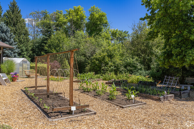 Community garden at Mary Woodward Elementary School.