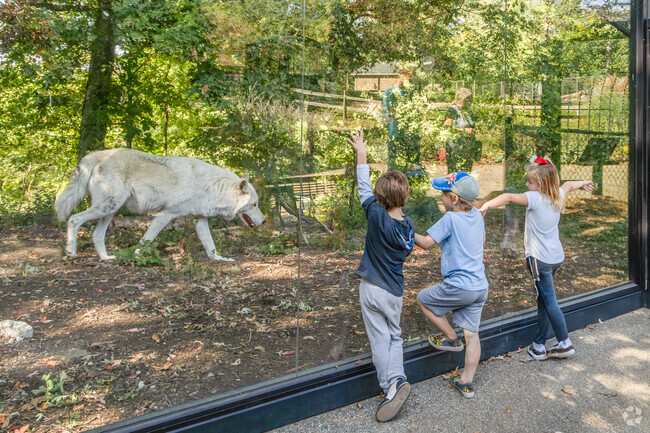 Spend the day at the Scovill Zoo in Decatur and explore the fascinating wildlife and attractions.
