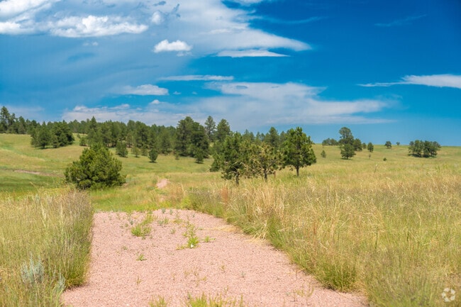 Black Forest has some wonderful trails winding throughout Colorado Springs, CO.