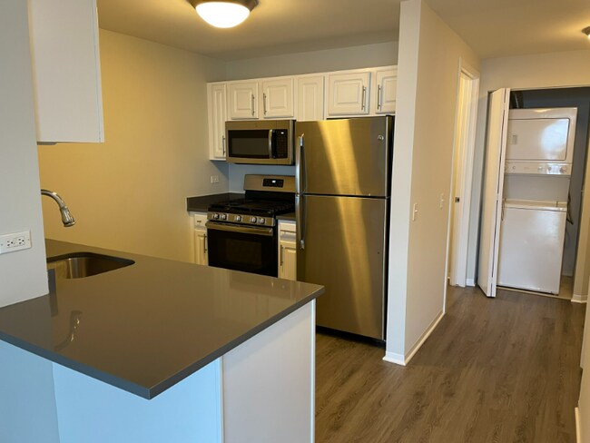 529 N State St, Chicago, IL 60654 - photo 3