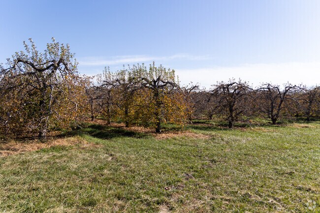 MacQueen's Orchard in Holland offers apple-picking.