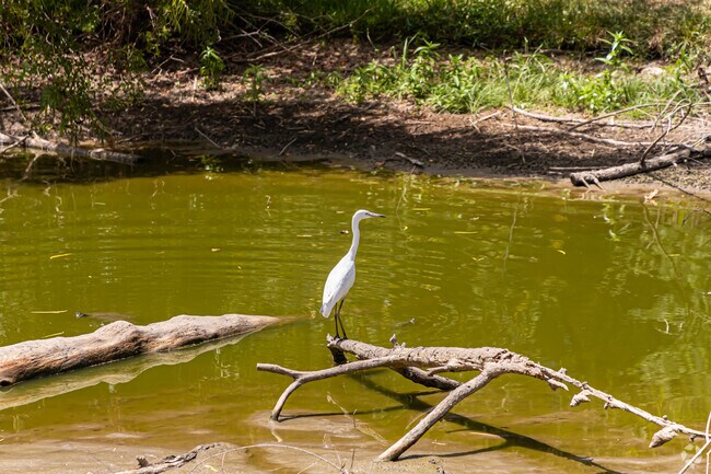 Numerous waterways can be found in the Wildwood area.
