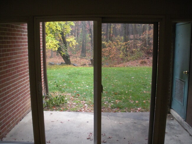 backyard/patio