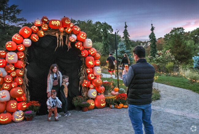 Families enjoy the many photo ops at Halloween on the Hill in Centerville.