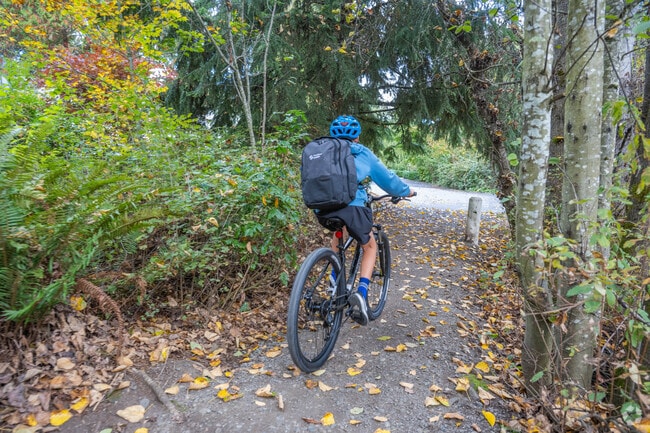 The Ellis Park Pond Trail is a frequently-used neighborhood shortcut.